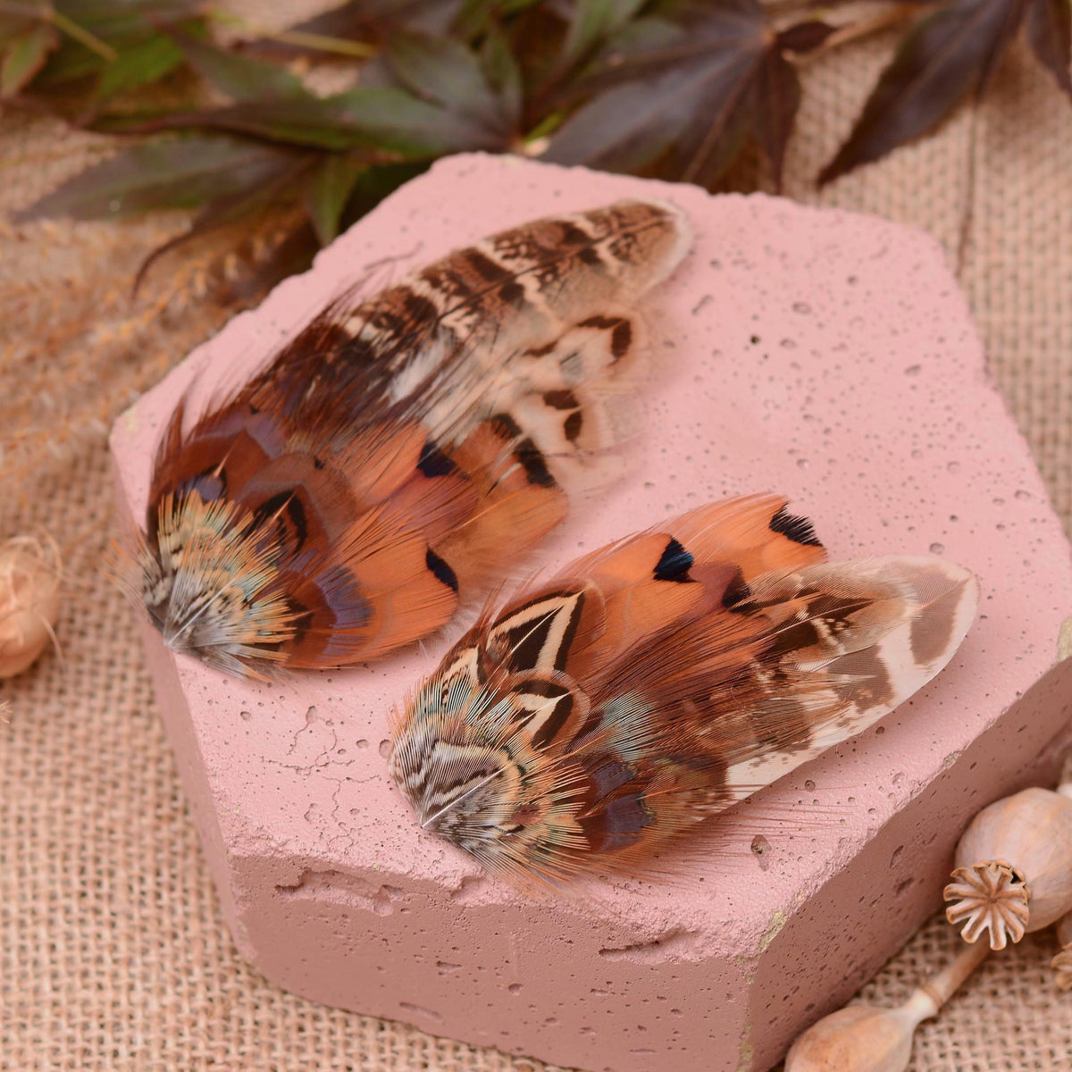 Natural Pheasant Feather Hair Clips / Fascinator No.102