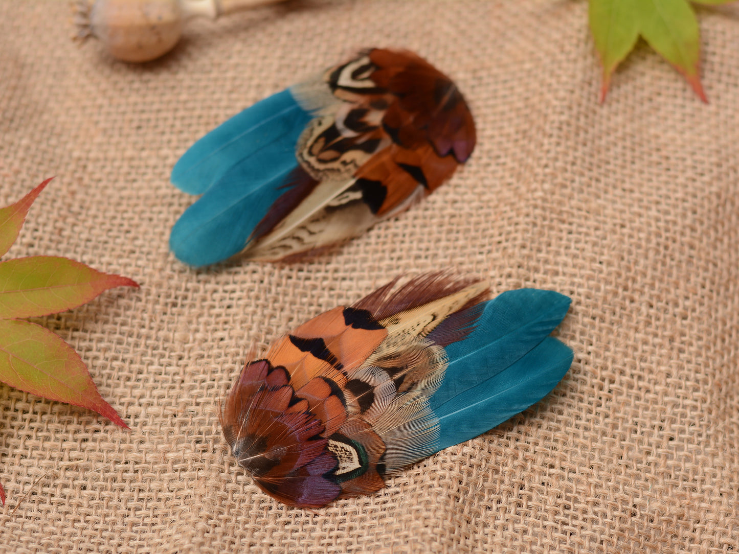 Small Teal and Copper Pheasant Feather Hair Clip No.4