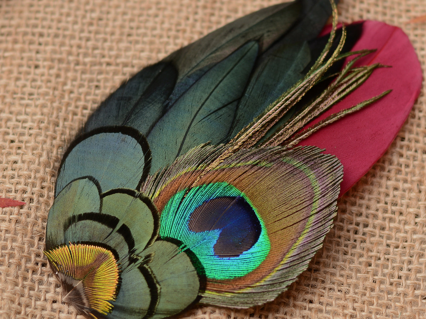 Large Burgundy and Peacock Feather Hair Clip Fascinator No.84
