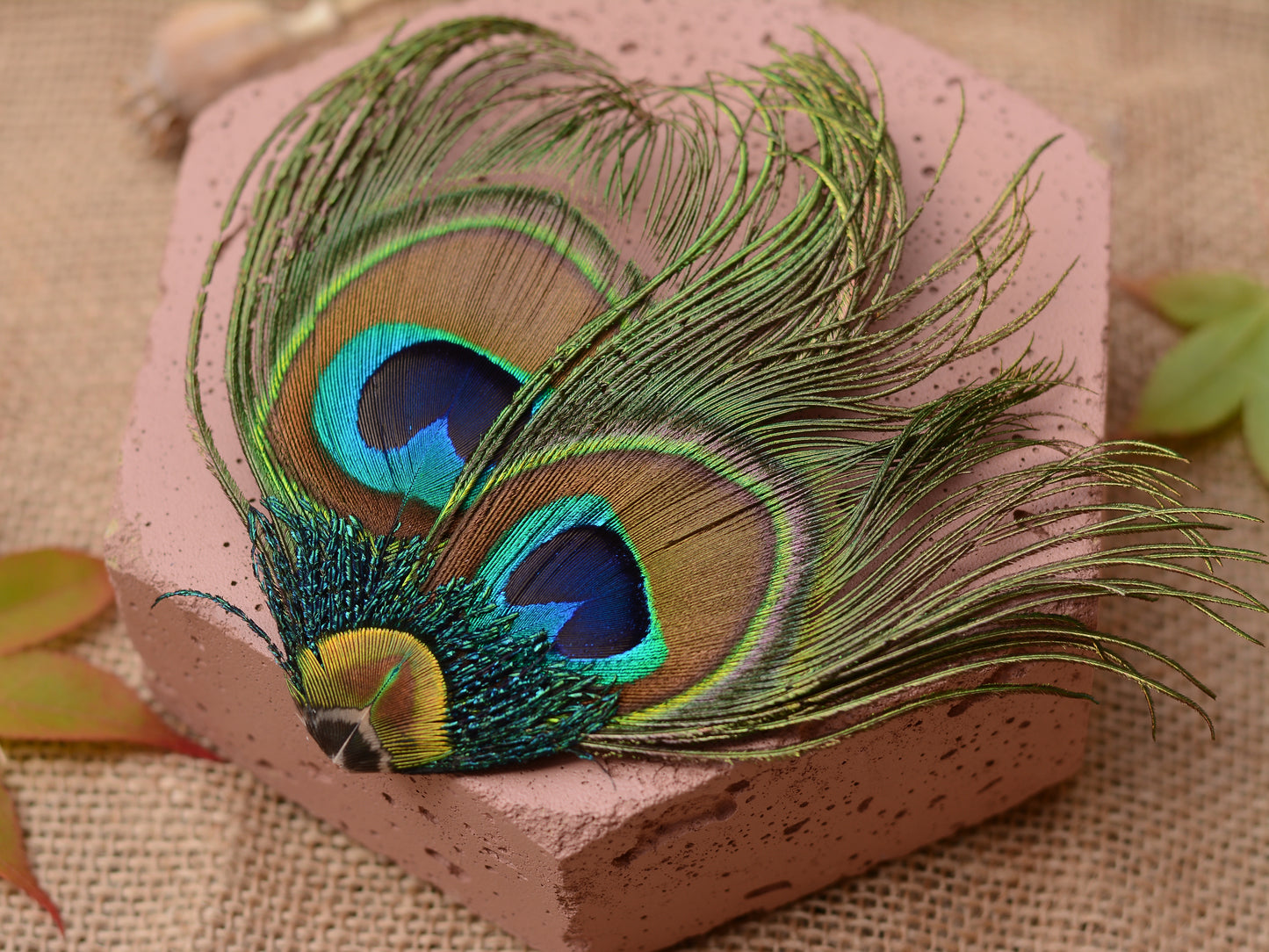 Peacock Feather Hair Clip No.091