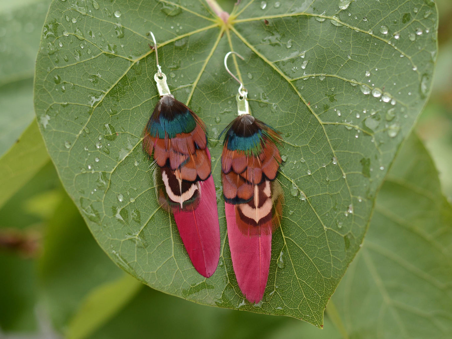Burgundy and Pheasant Feather Earrings Small | Pheasant Feather Earrings | Festival Earrings | Feather Jewellery | Festival Jewellery