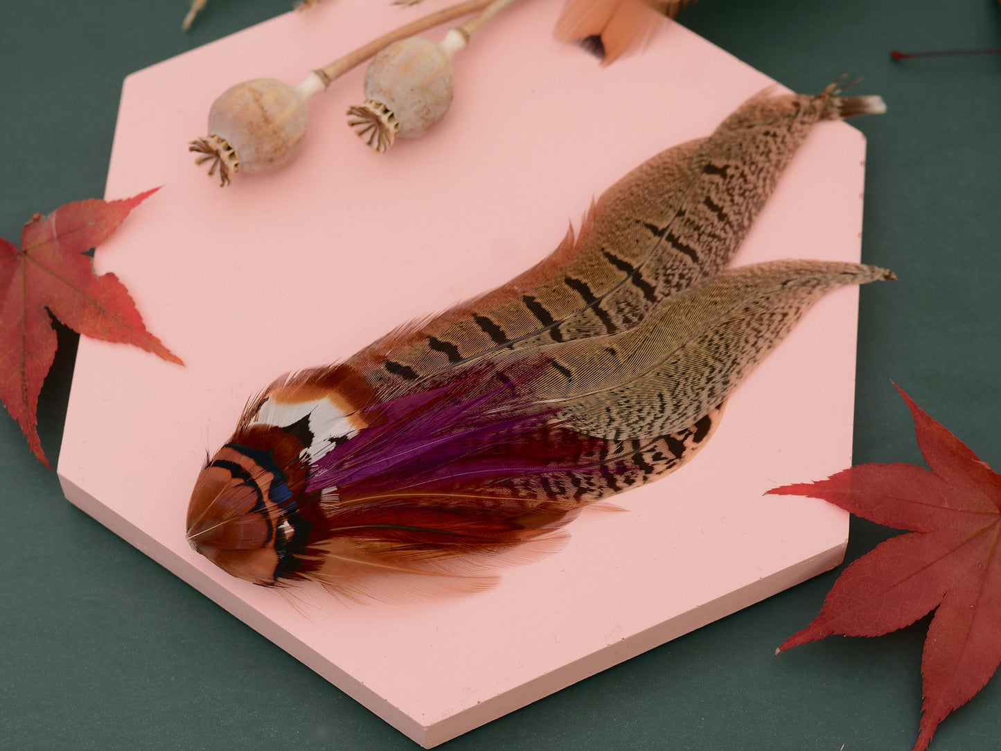 Plum and Copper Pheasant Feather Hat Pin / Lapel Pin No.119 | Unique Feather Boutonniere | Pheasant Feather Brooch