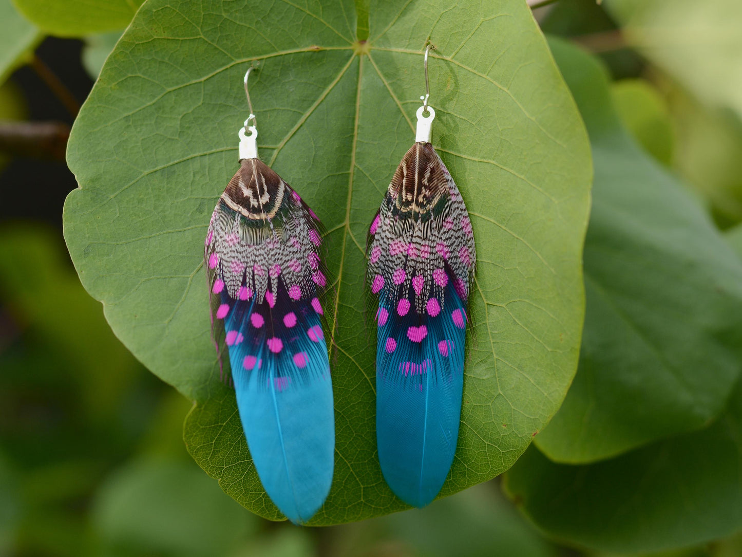 Turquoise Blue and Pink Feather Earrings | Festival Earrings | Feather Jewellery | Festival Jewellery | Drop Earrings