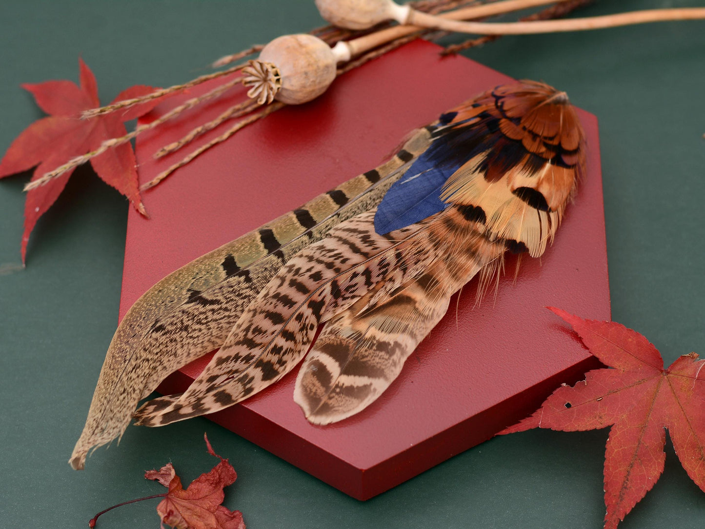 Pheasant Feather Hat Pin in Navy Blue, Copper and Blonde No.130 | Unique Feather Boutonniere | Pheasant Feather Brooch