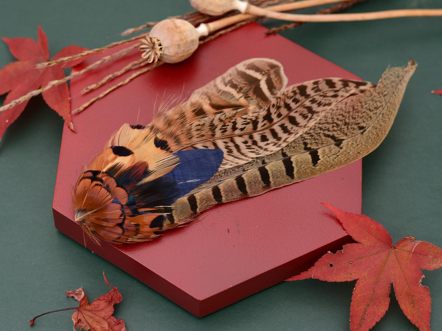 Pheasant Feather Hat Pin in Navy Blue, Copper and Blonde No.130 | Unique Feather Boutonniere | Pheasant Feather Brooch