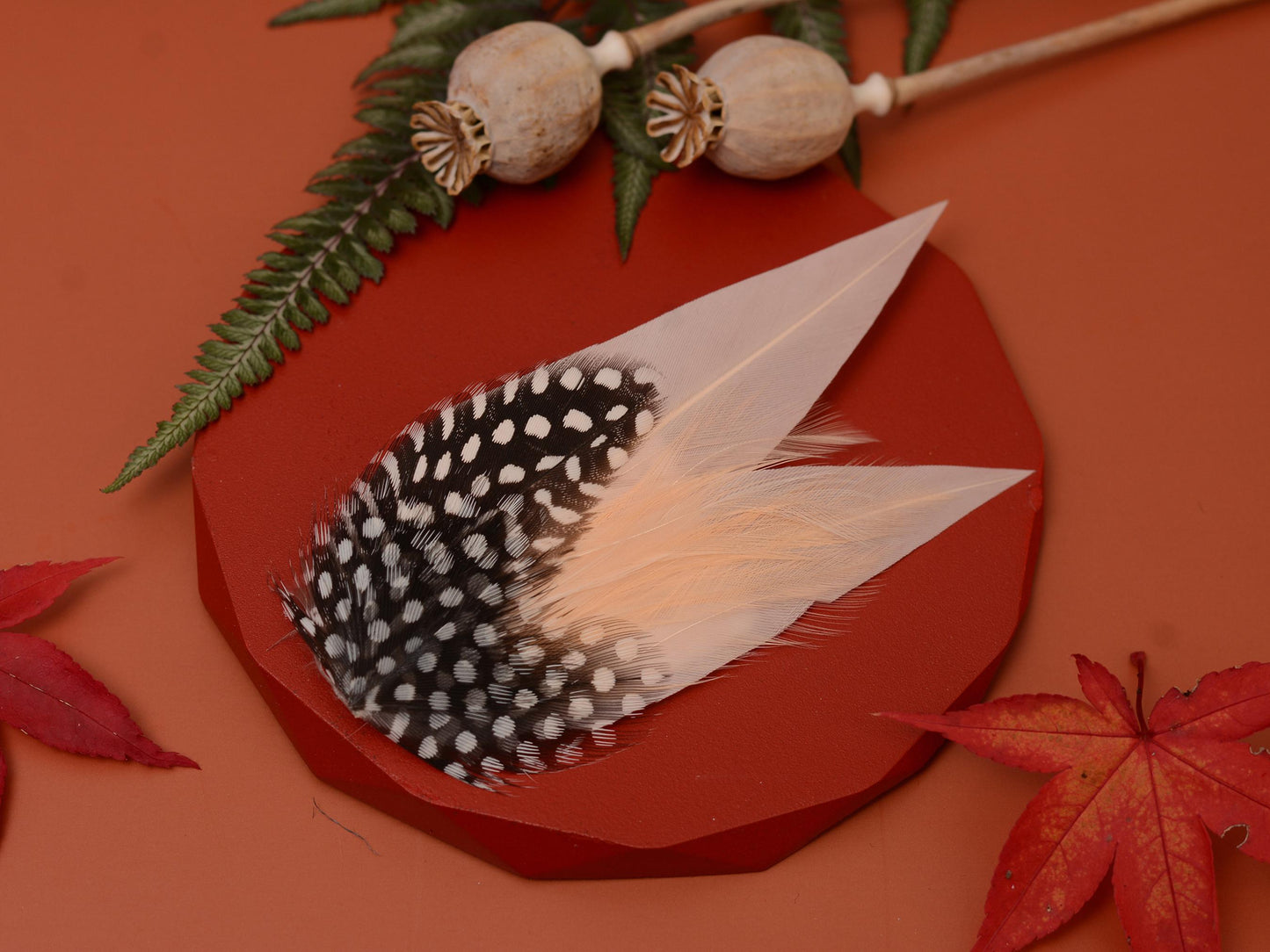 Blush Pink Feather Pin with Spotted Guinea Fowl Feathers | Feather Boutonniere | Feather Brooch | Feather Hat Pin