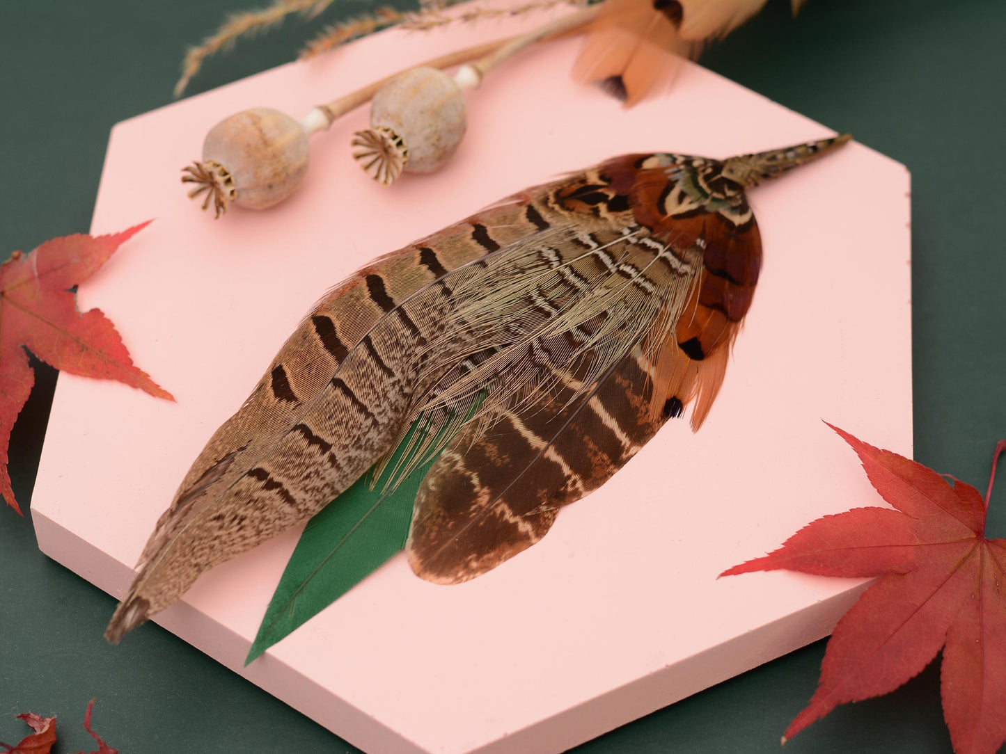Pheasant Feather Brooch Hat Pin in Green and Copper No.274 | Unique Pheasant Feather Boutonniere