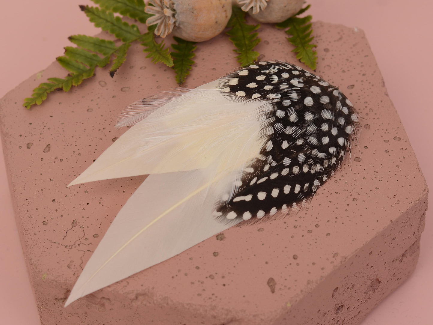 Ivory Feather Hair Clip with Polka Dots | Ivory Feather Fascinator | Ivory Feather Headpiece | Wedding Fascinator | Bridal Headpiece