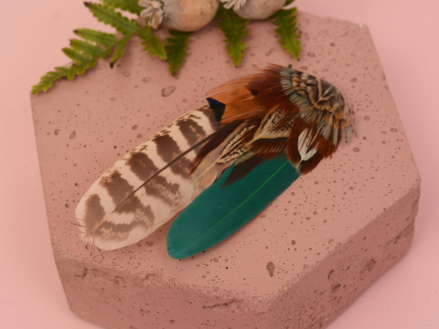 Green and Copper Pheasant Feather Hair Clip, Feather Fascinator