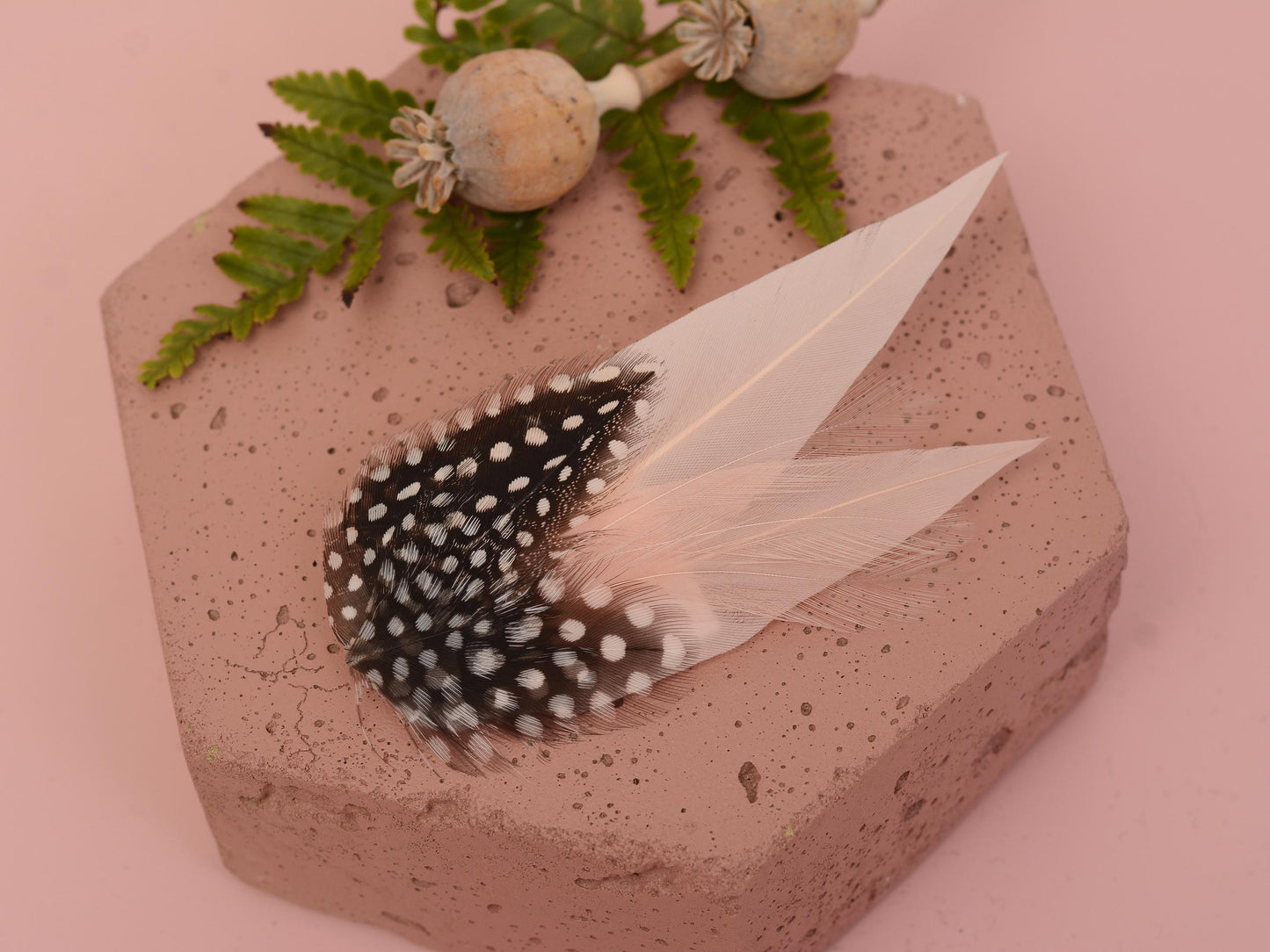 Blush Pink Feather Hair Clip with Polka Dots | Pink Feather Fascinator | Blush Feather Headpiece | Wedding Fascinator | Bridal Headpiece