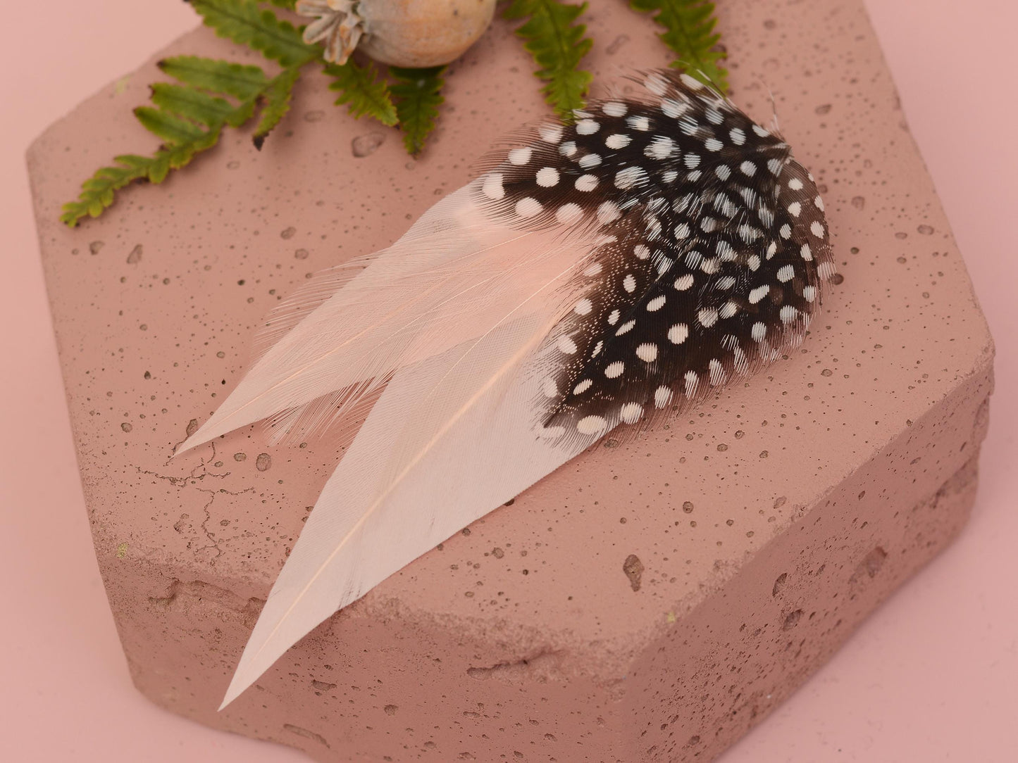 Blush Pink Feather Hair Clip with Polka Dots | Pink Feather Fascinator | Blush Feather Headpiece | Wedding Fascinator | Bridal Headpiece