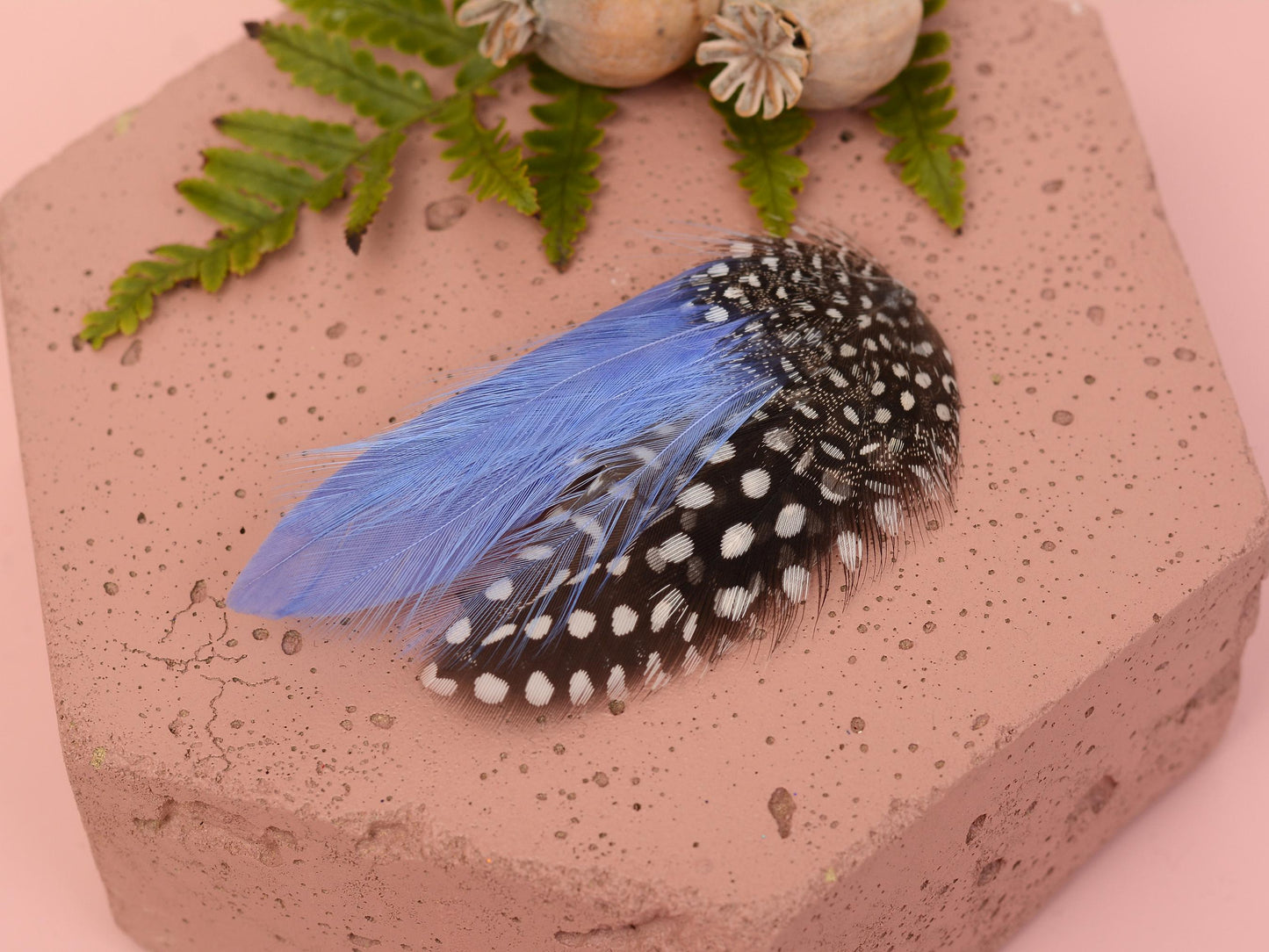 Feather Hair Clip in Cornflower Blue and Polka Dot | Blue Feather Hair Clip | Pastel Blue Feather Headpiece | Wedding Fascinator