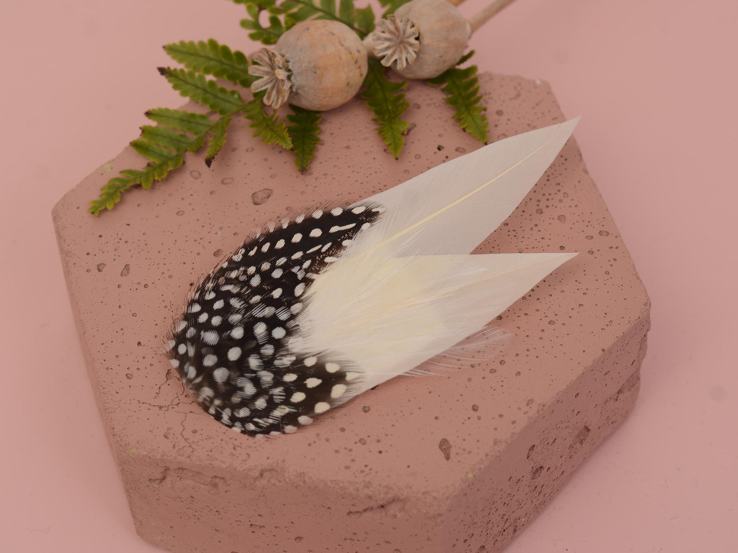 Ivory Feather Hair Clip with Polka Dots | Ivory Feather Fascinator | Ivory Feather Headpiece | Wedding Fascinator | Bridal Headpiece