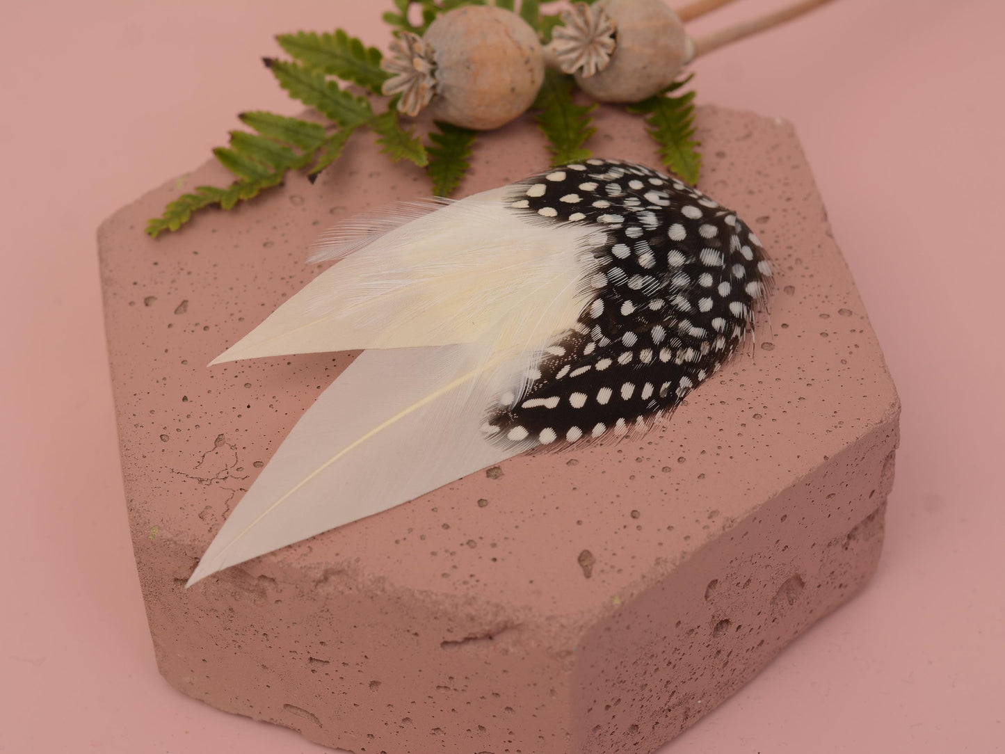 Ivory Feather Hair Clip with Polka Dots | Ivory Feather Fascinator | Ivory Feather Headpiece | Wedding Fascinator | Bridal Headpiece