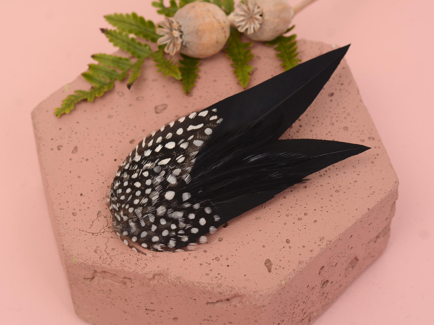 Black Monochrome Feather Hair Clip with Polka Dots | Black Feather Fascinator | Black Feather Headpiece | Wedding Fascinator