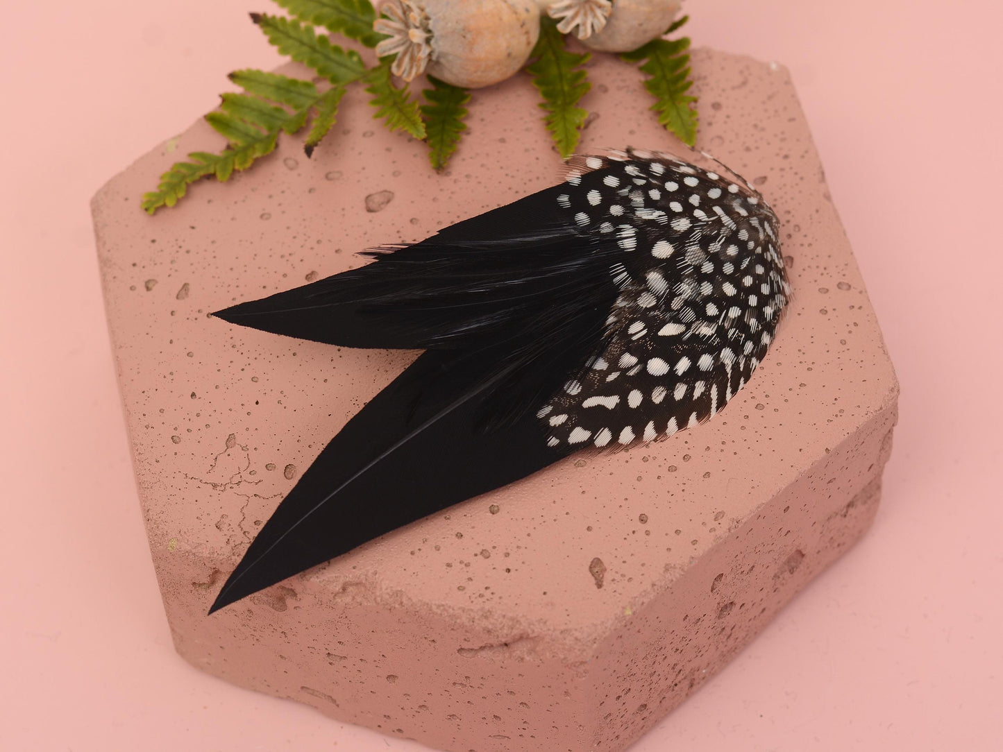Black Monochrome Feather Hair Clip with Polka Dots | Black Feather Fascinator | Black Feather Headpiece | Wedding Fascinator