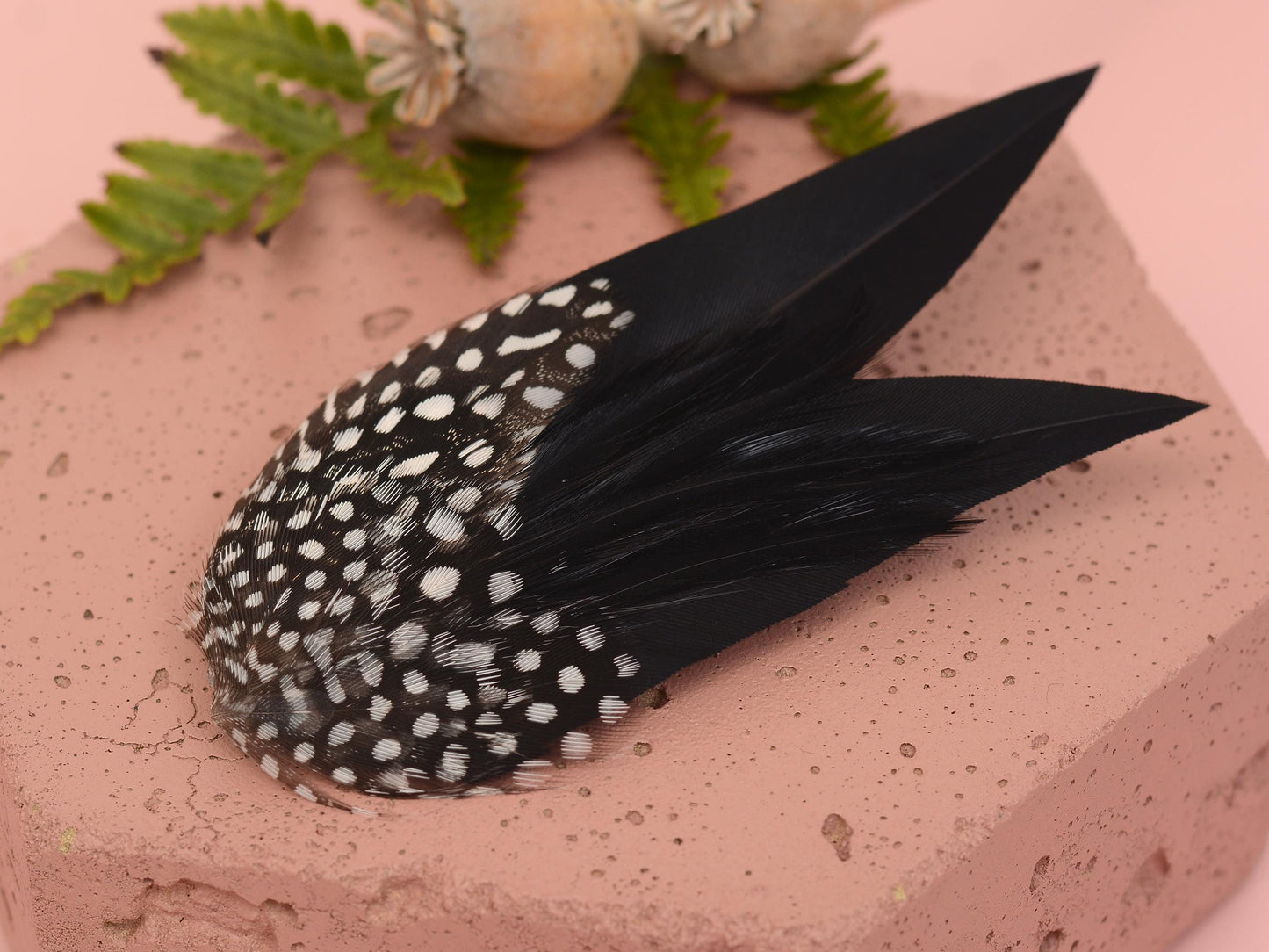 Black Monochrome Feather Hair Clip with Polka Dots | Black Feather Fascinator | Black Feather Headpiece | Wedding Fascinator
