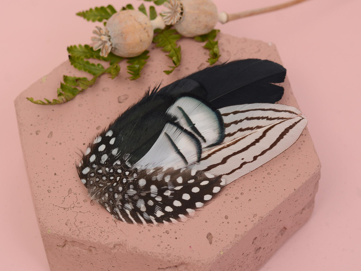 Black and White Feather Hair Clip Fascinator, Monochrome Feather Hair Piece