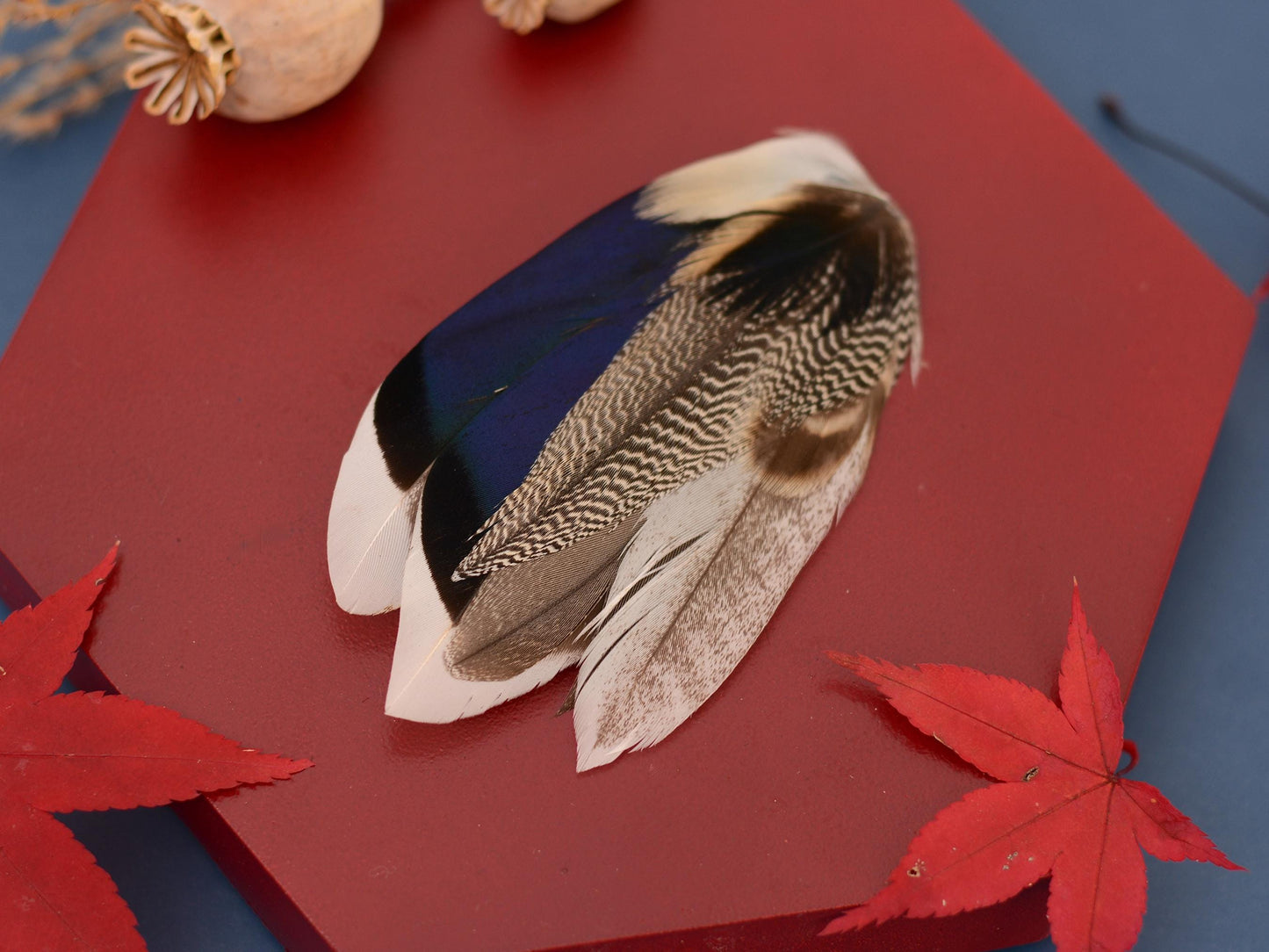 Mallard Duck Feather Lapel Pin in Navy Blue | Feather Boutonniere | Feather Brooch | Feather Hat Pin | Grooms Outfit | Wedding