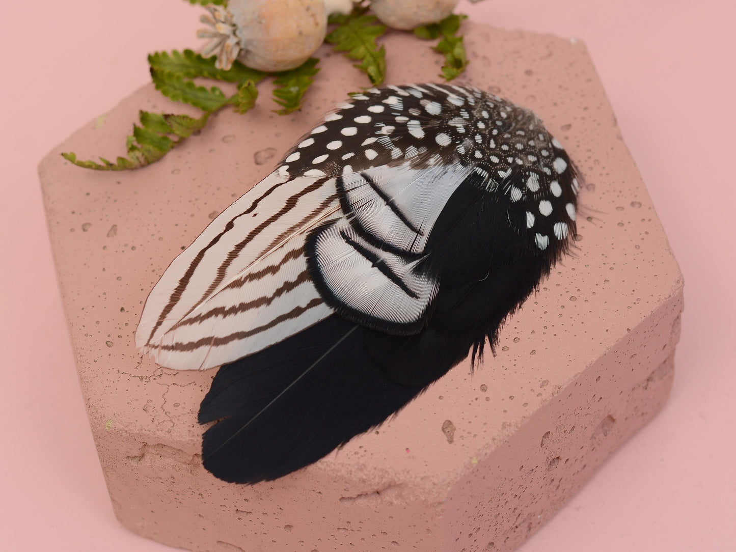 Black and White Feather Hair Clip Fascinator, Monochrome Feather Hair Piece
