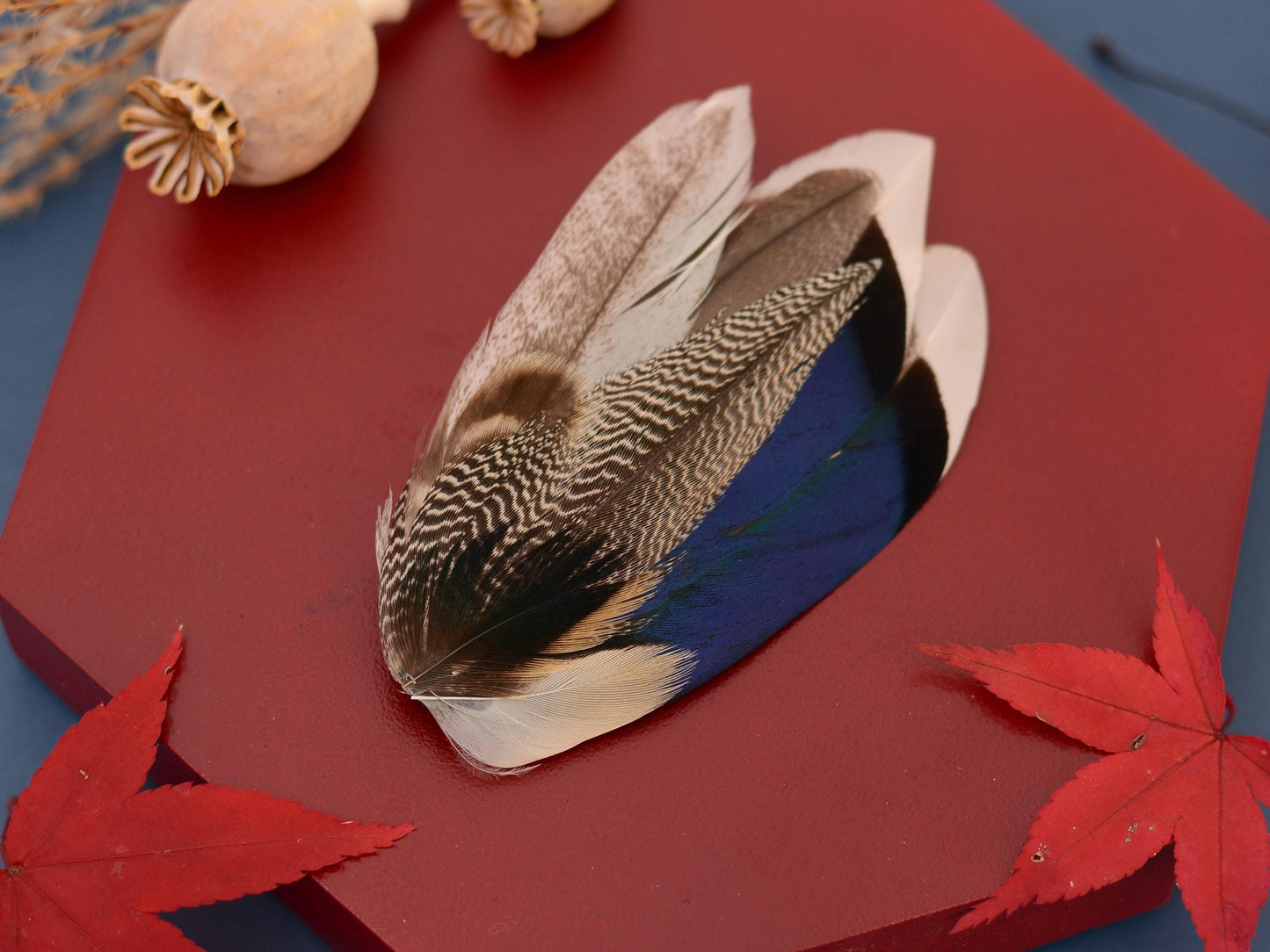 Mallard Duck Feather Lapel Pin in Navy Blue | Feather Boutonniere | Feather Brooch | Feather Hat Pin | Grooms Outfit | Wedding