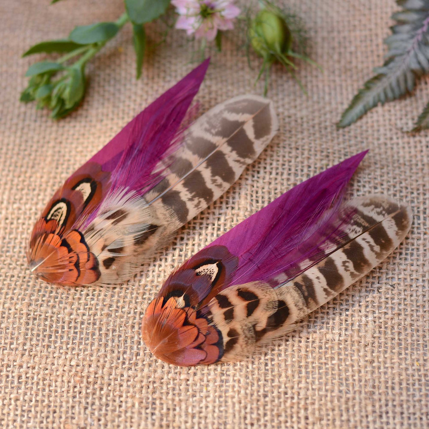Two pheasant feather hair clip fascinators with vibrant purple and brown patterns on a textured fabric background .The feathers arecapturing the sunset light. and reflecting it with a beuatiful glow.