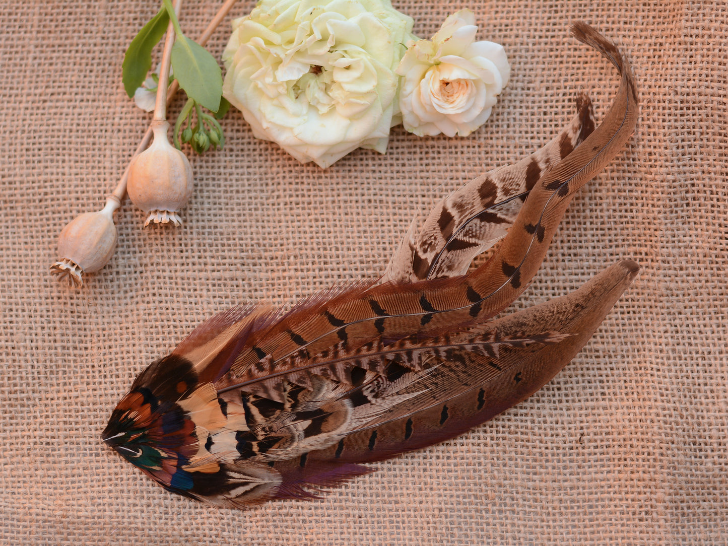 Luxury Natural Copper Pheasant Hat Pin No.326
