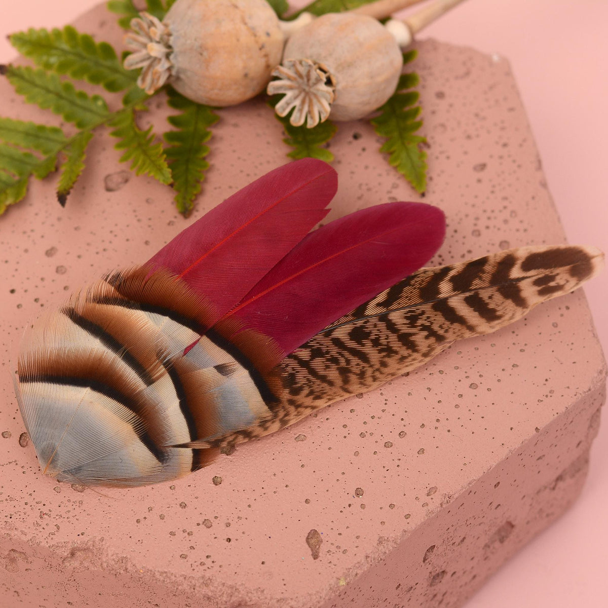 A decorative feather hair clip with burgundy red feathers and a long brown-and-black patterned pheasant tail feather and soft blue partridge feathers with brown bands. Styled on a pink stone block with dried poppy pods and green fern leaves.