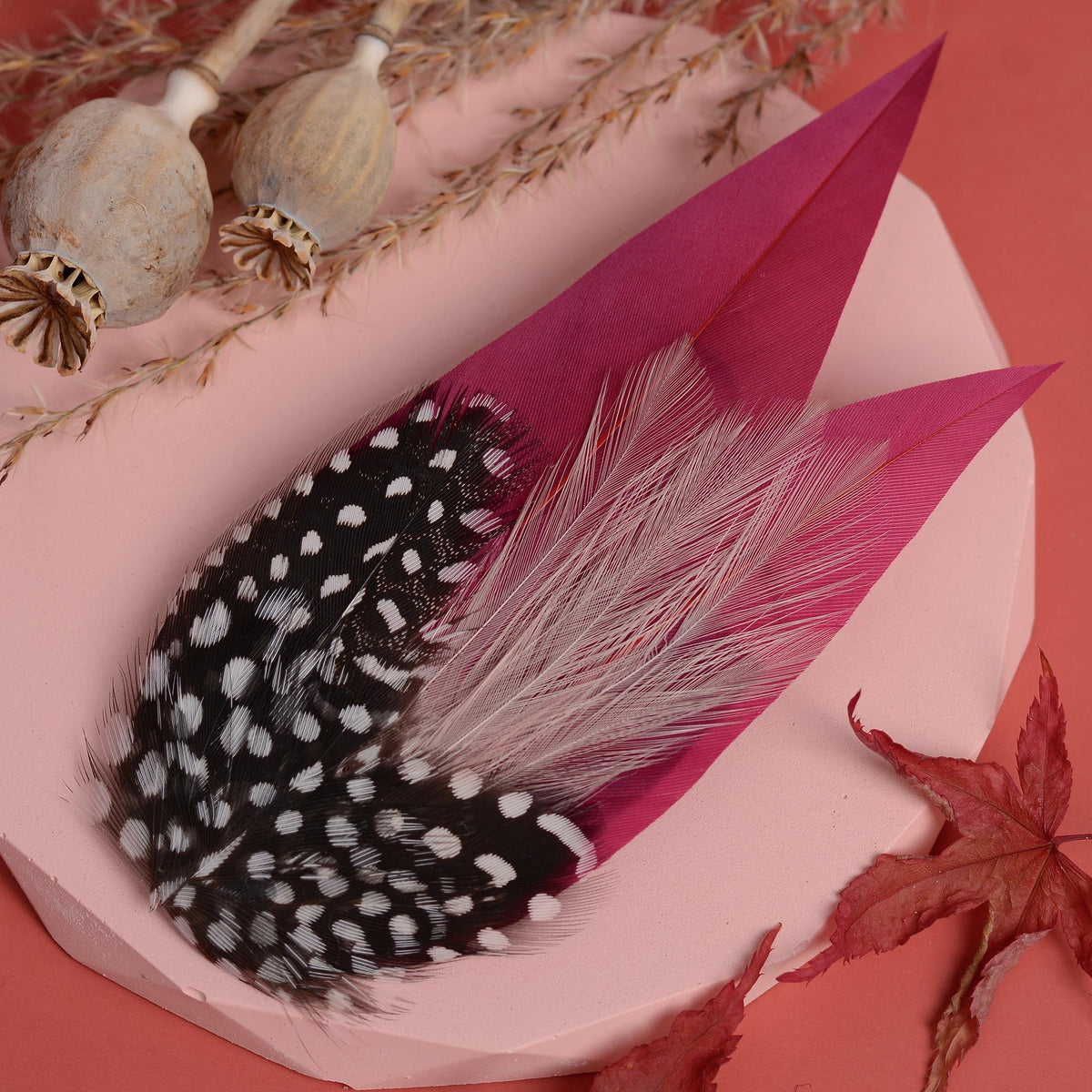 A decorative feather hair clip accessory with a black and white spotted feathers and burgundy and blush pink feathers, styled on a pink surface with dried botanical props and a red leaf.