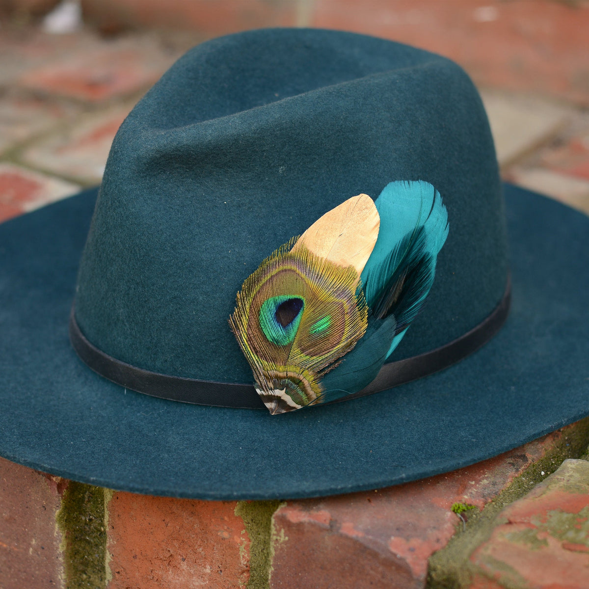 Teal fedora hat with a gold and teal peacock feather hat pin on a brick surface