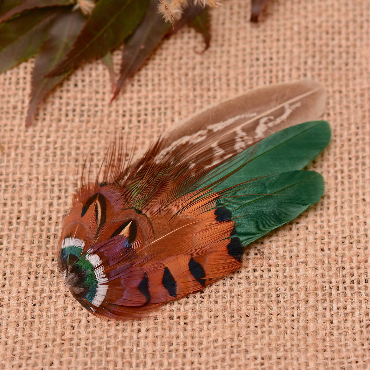 Pheasant feather hair clip fascinator in bright copper and green. Displayed on a burlap cloth.