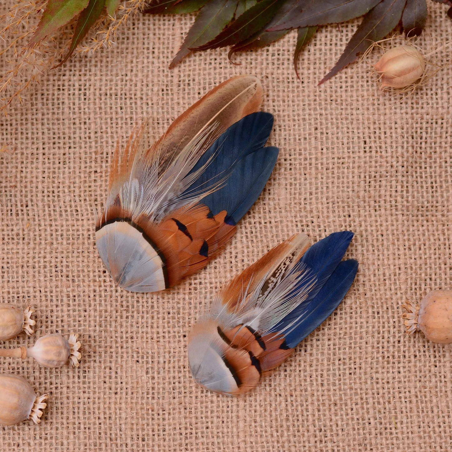 Two decorative bird feather hair pieces with blue, brown, tan, and copper feathers, arranged on a beige burlap surface with scattered dried poppy pods and leaves.