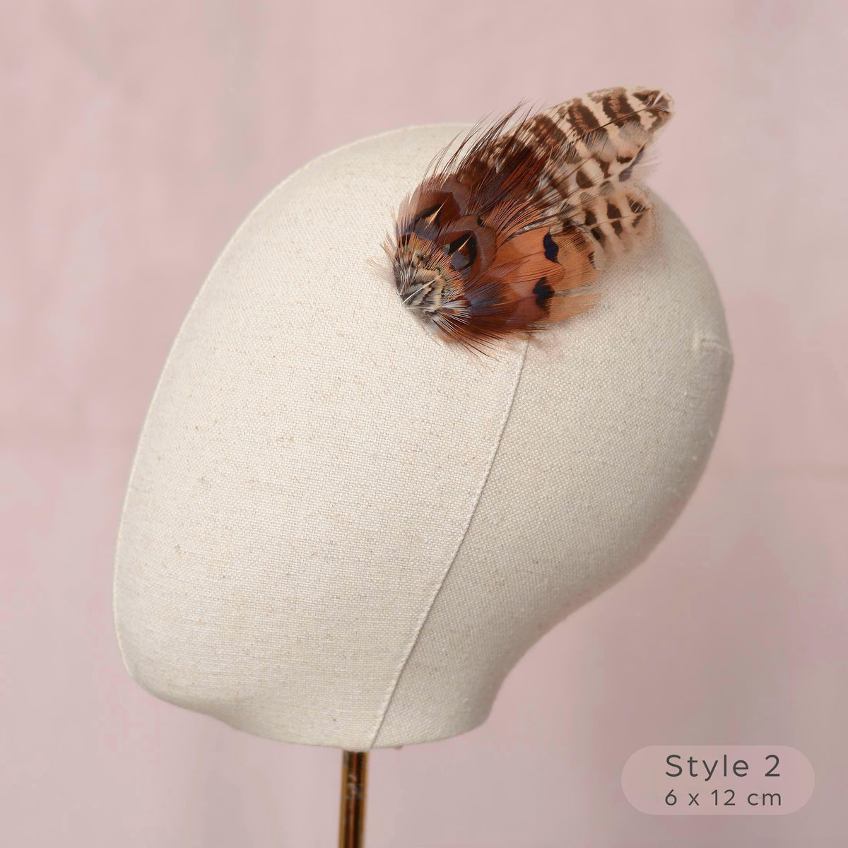 A decorative feather hair accessory with brown, black, and cream pheasant feathers, displayed on a cream fabric mannequin head against a soft pink background. A text overlay in the bottom right corner reads 'Style 2 - 6 x 12 cm'.