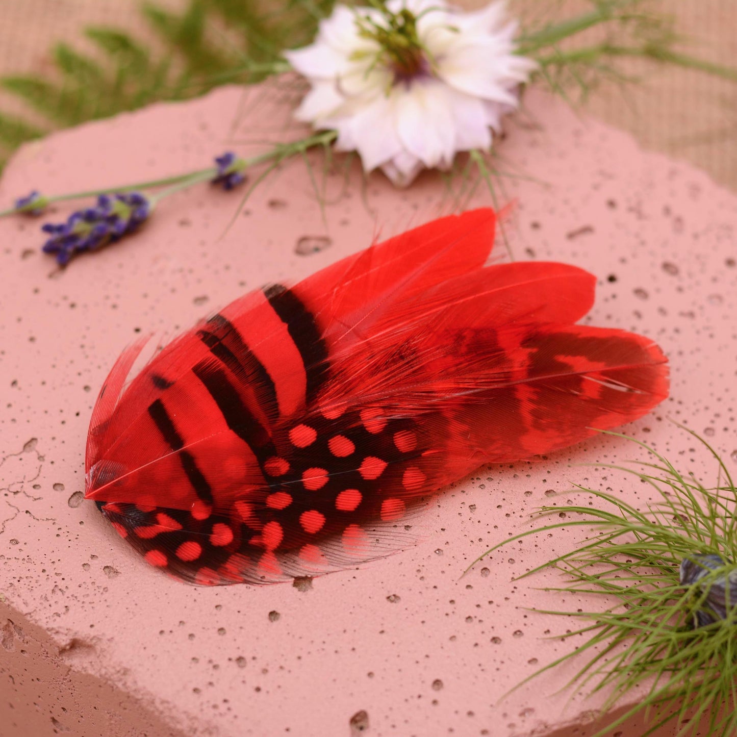 Bright red feather hair clip accessory made with an arrangement of feathers in vibrant tomato red with black stripe and spot markings. An ideal mini fascinator / hair decoration for weddings, proms and special events.