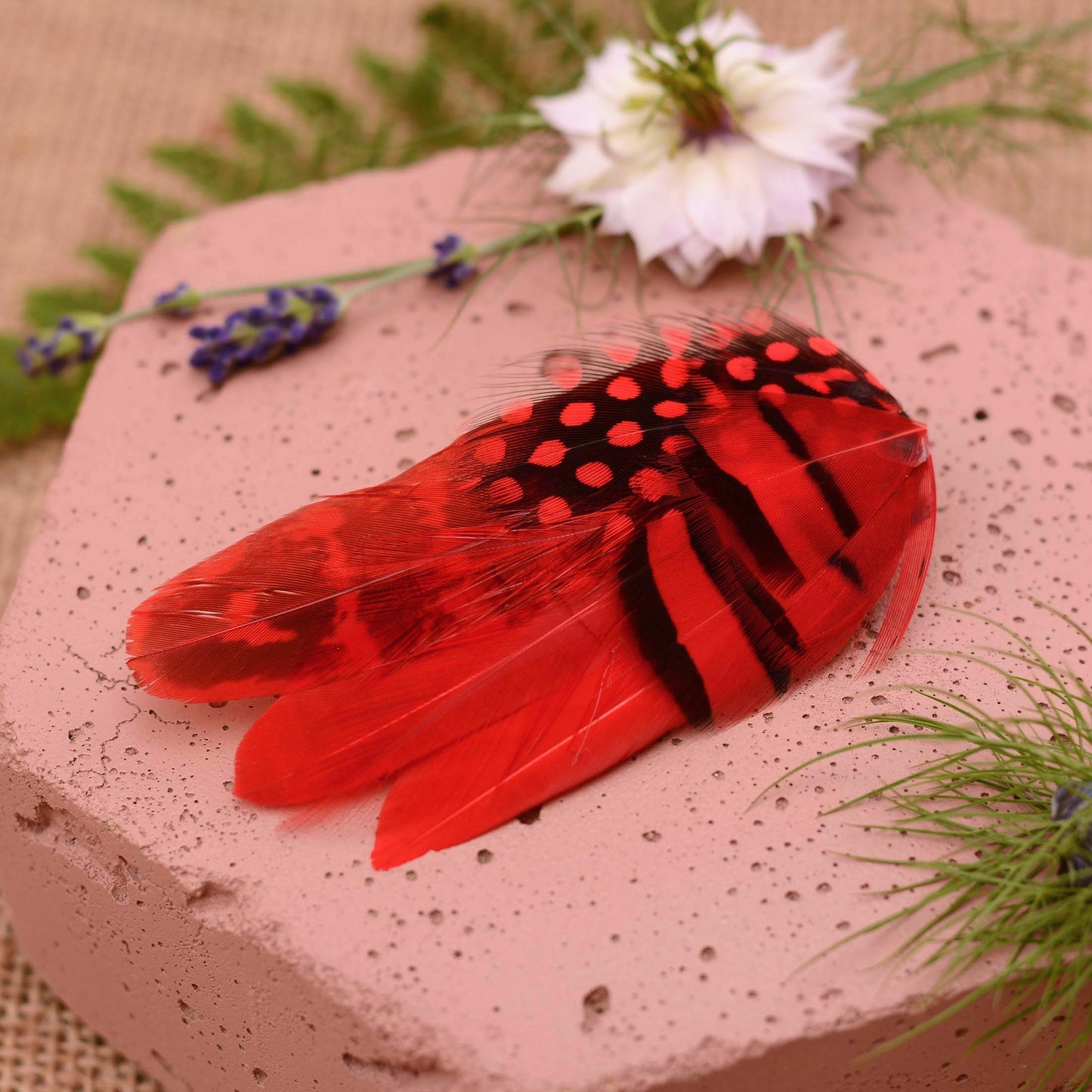 A decorative red and black patterned feather hair piece. The feathers have stripped and spotted markings in contrasting black and red. It is displayed on a textured pink stone with small flowers and greenery around it.