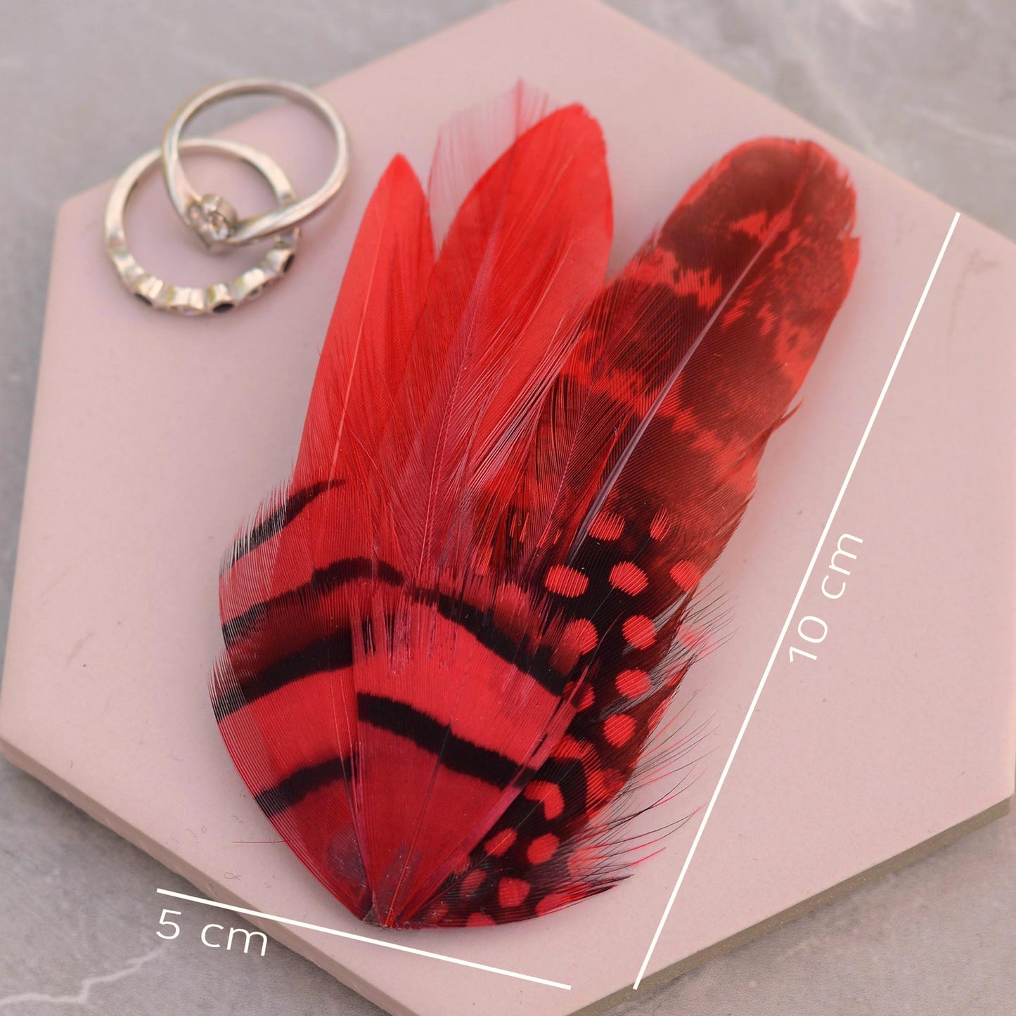 A red and black patterned decorative feather hair clip  displayed on a light pink hexagonal tile, with white dimension lines indicating 10 cm and 5 cm lengths. A silver ring is placed in the upper left corner.
