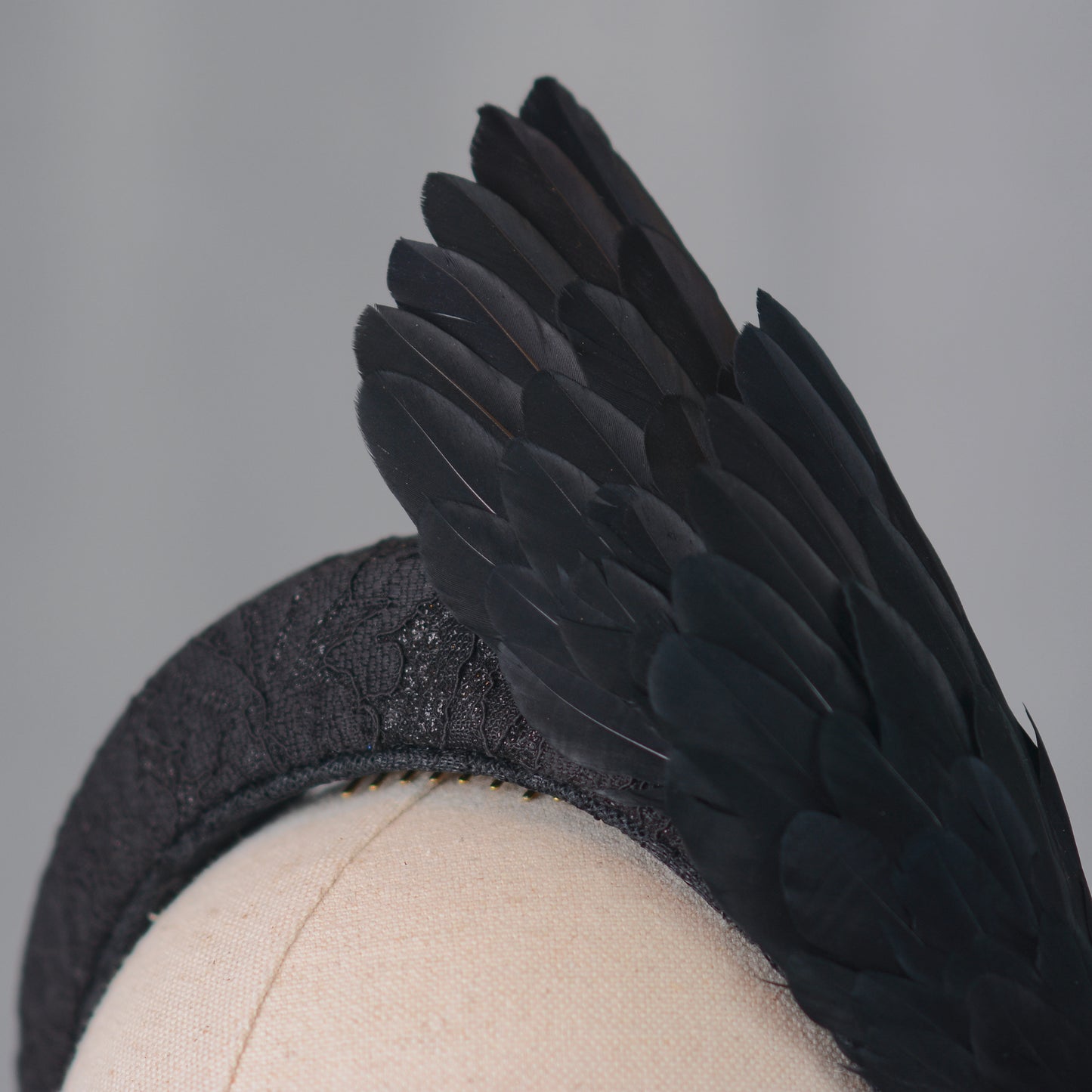 Cordelia - Black Bird Wing Headband