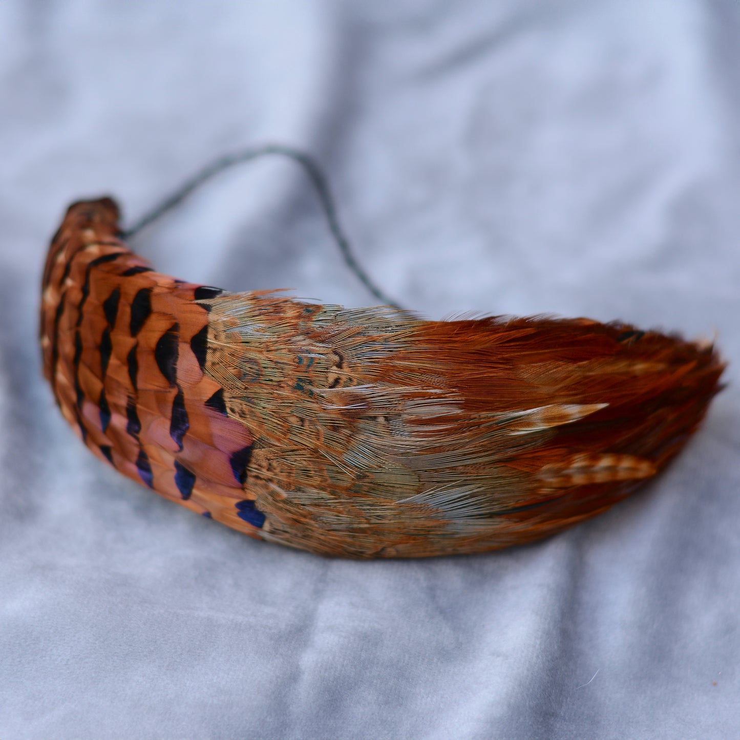 Copper Pheasant Feather Bandeau Headband Fascinator