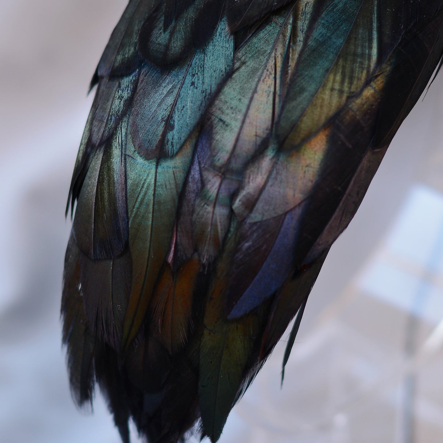 Black / Green Pheasant Feather Bandeau Headband Fascinator