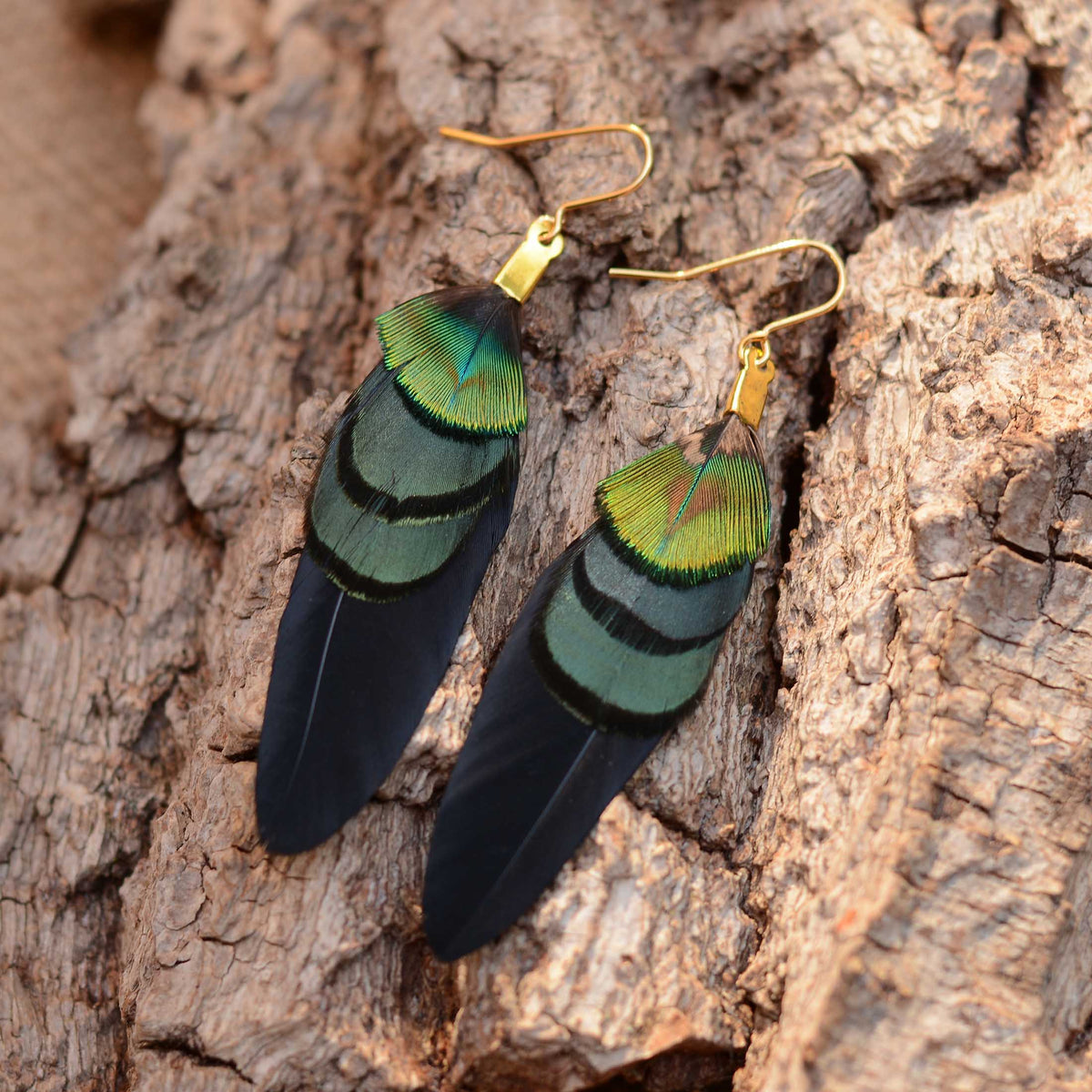 A pair of long feather drop earrings with gold fishhook wires, featuring iridescent green, gold and blue feathers on long black feathers, resting on textured tree bark.