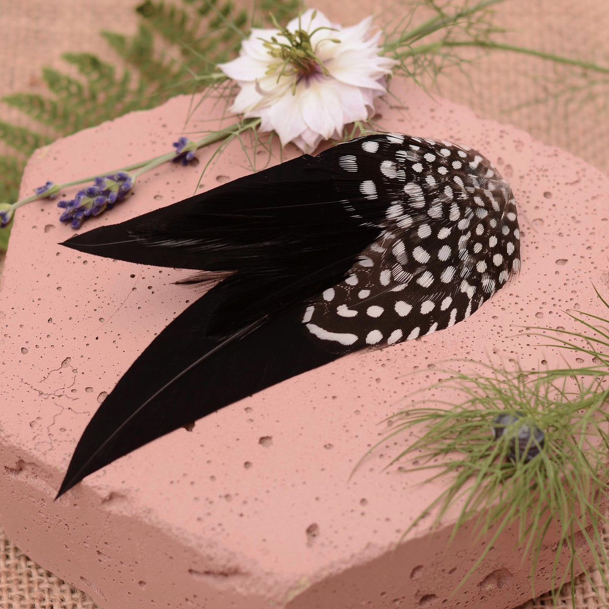 black and white polka dot feather fascinator hair clip on a pink textured stone surrounde by flowers and greenery.