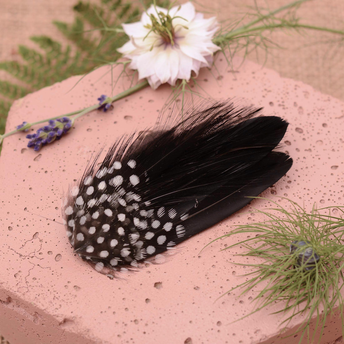 A  small black feather hair clip with white polka dot spots on a pink stone surface surrounded by greenery.