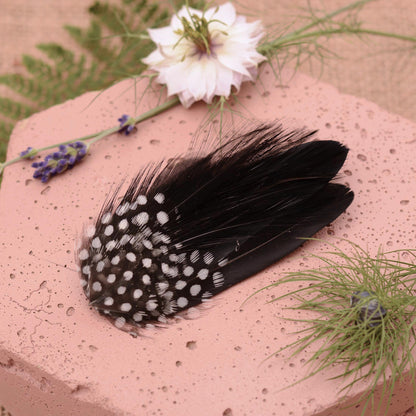 A  small black feather hair clip with white polka dot spots on a pink stone surface surrounded by greenery.