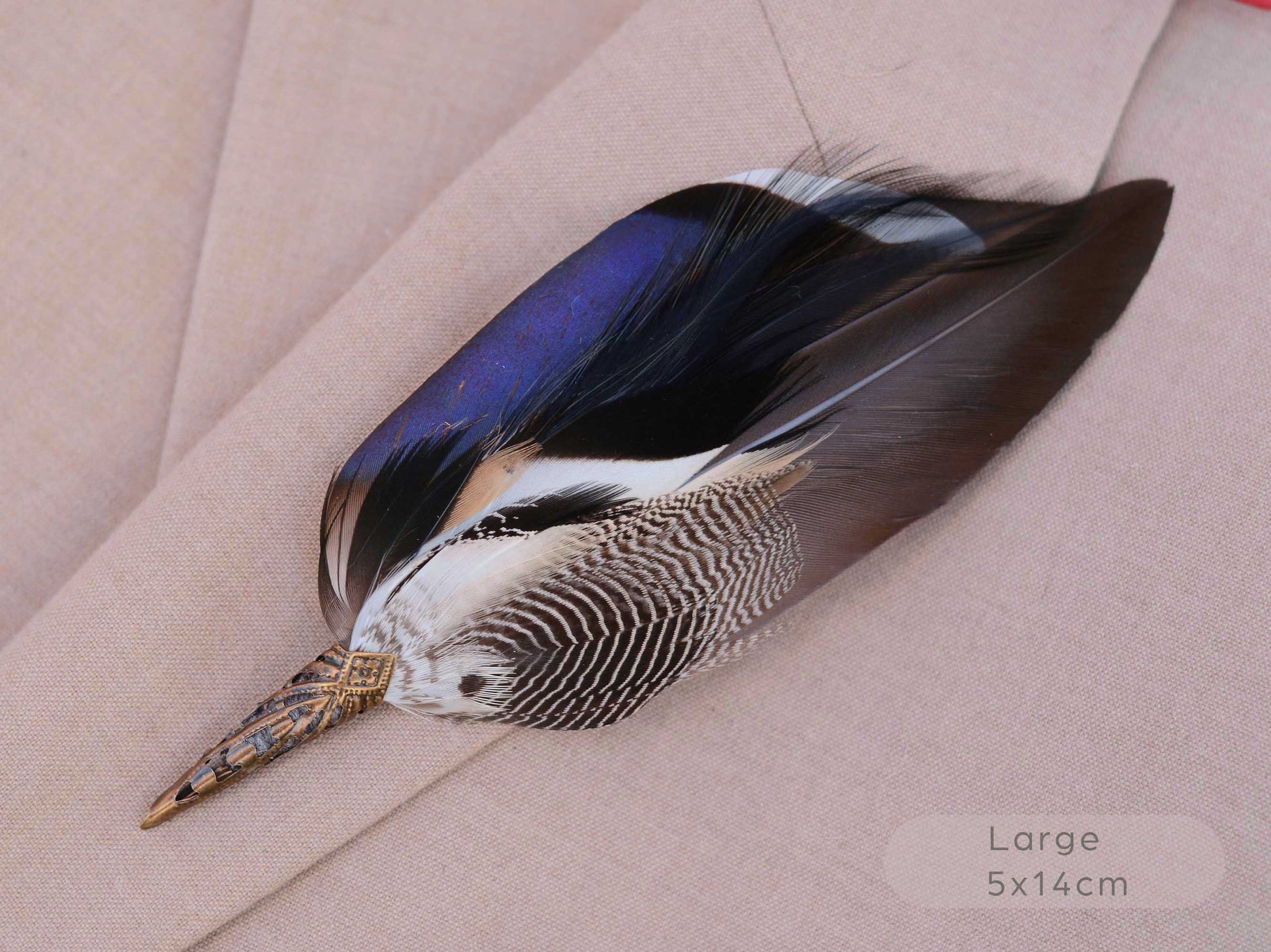 A large decorative bird feather buttonhole with iridescent blue, black, white, and brown sections, laid on a beige fabric background. Text in the lower right reads 'Large 5x14cm'.