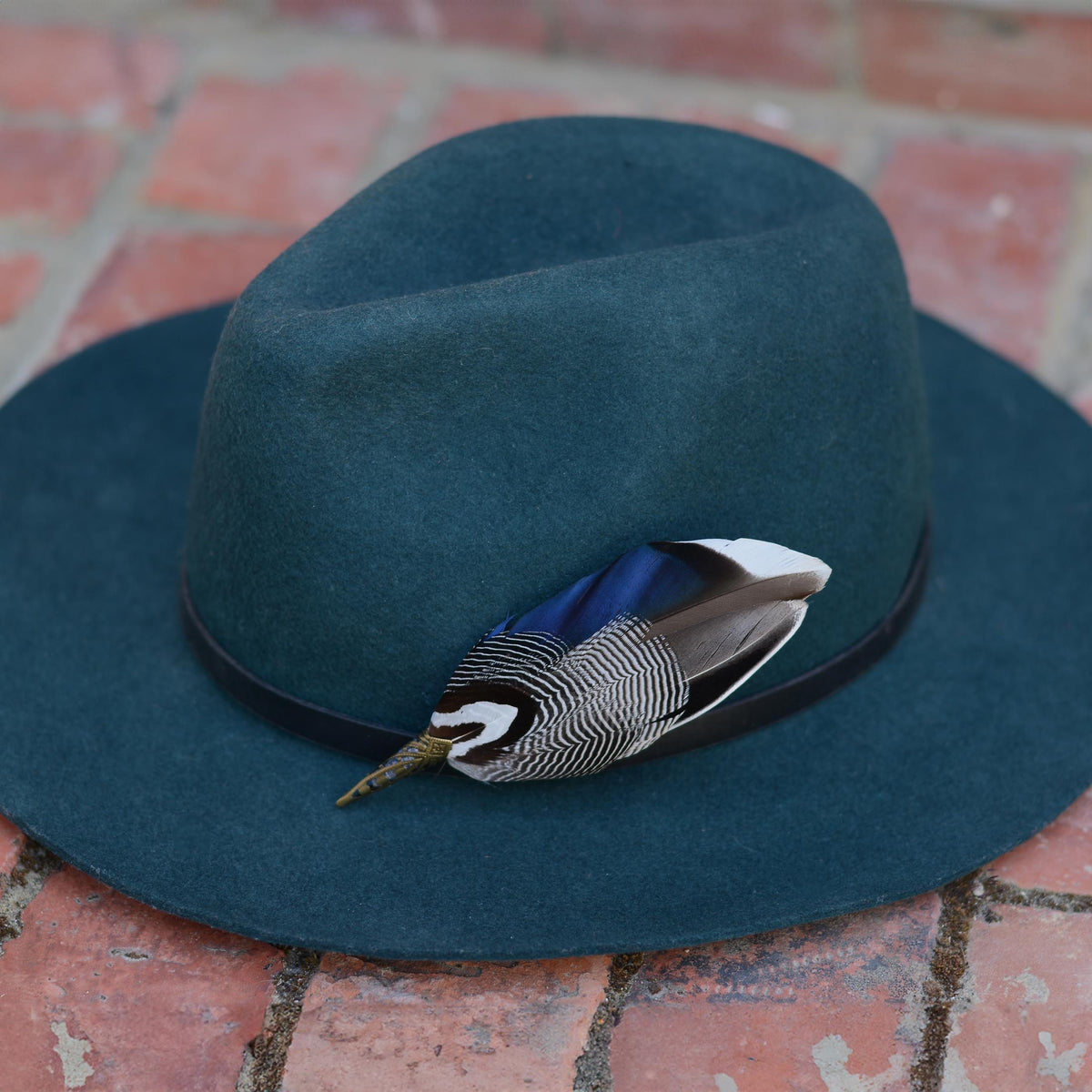 A dark teal felt wide-brim hat with a black band and a decorative feather hat pin in iridescent electric and navy blue, grey, white and black resting on a red brick surface.