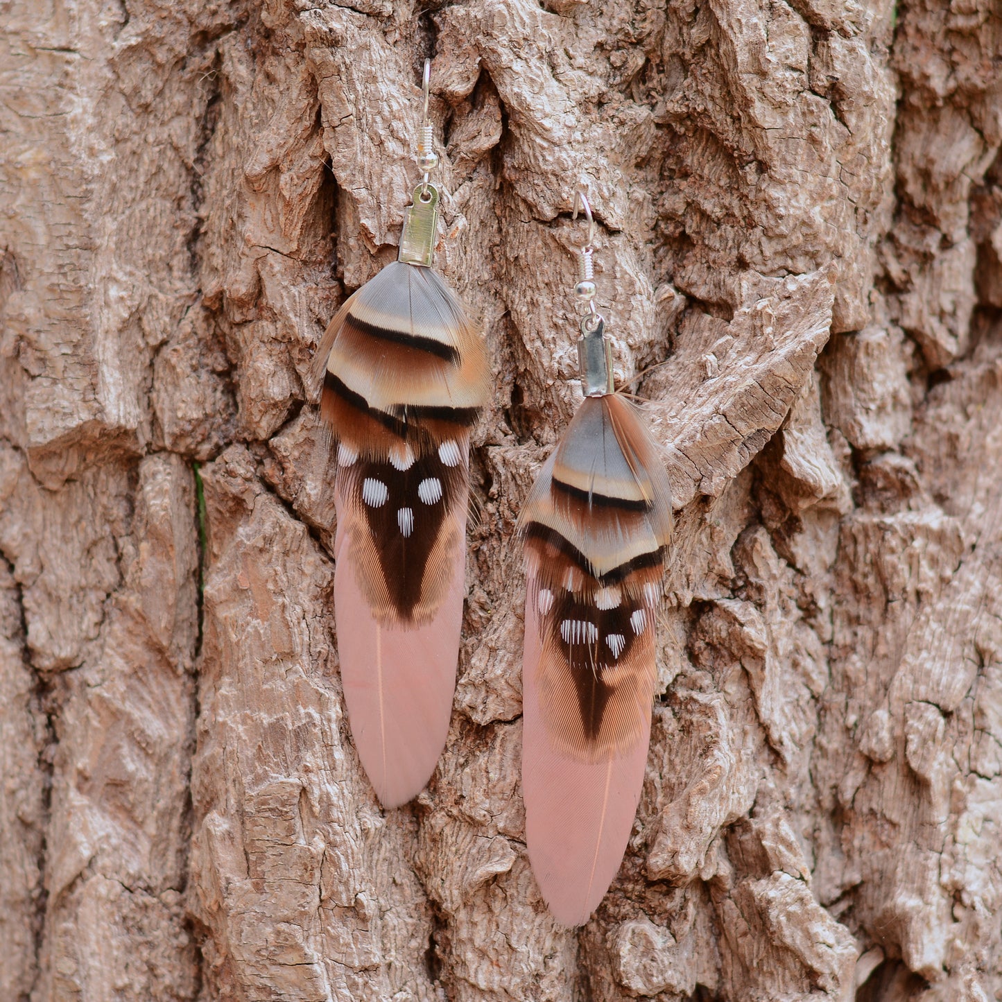 A pair of drop feather earrings  made from real duck, pheasant and partridge feathers, hanging against a textured tree bark background.
