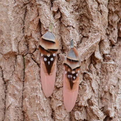 A pair of drop feather earrings  made from real duck, pheasant and partridge feathers, hanging against a textured tree bark background.