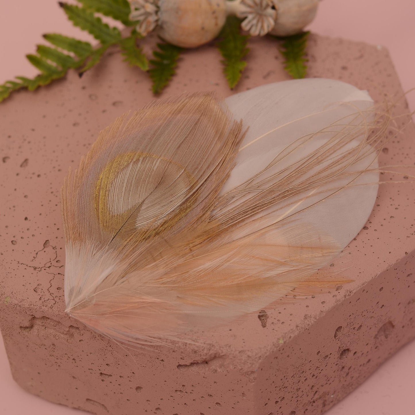 Feather Hair Clip in Golden Blush Pink and Antique Ivory Peacock | Bridal Feather Hair Clip | Blush Feather Fascinator