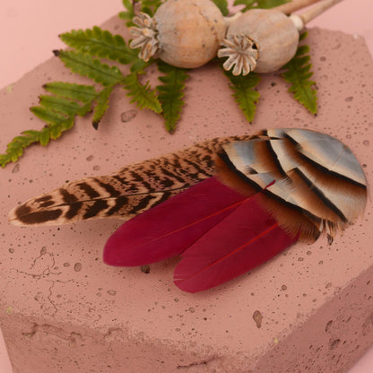 Burgundy and natural pheasant and partridge hair clip.