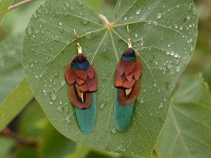 Small Real Pheasant Feather Earrings in Copper, Green, Navy Blue, Teal or Burgundy